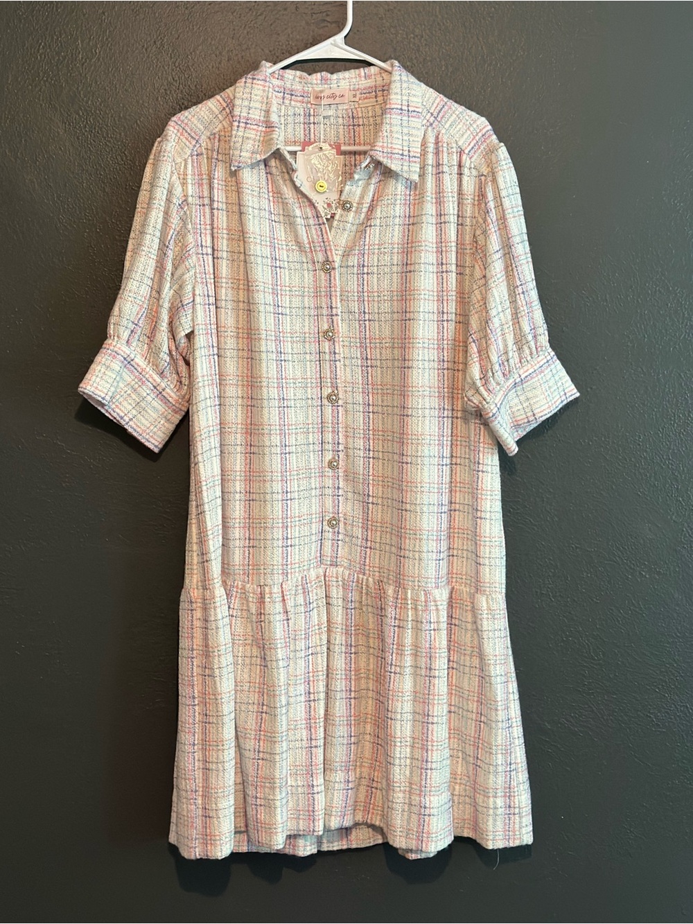 NWT Ivy City Co Dorothy Dress